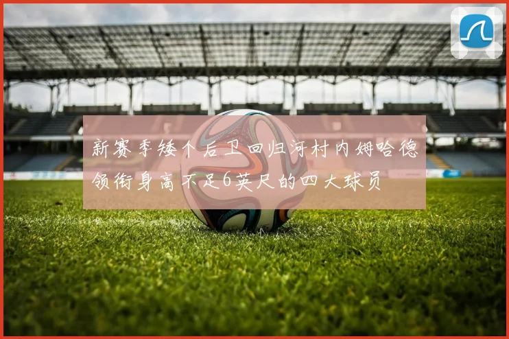 新赛季矮个后卫回归河村内姆哈德领衔身高不足6英尺的四大球员