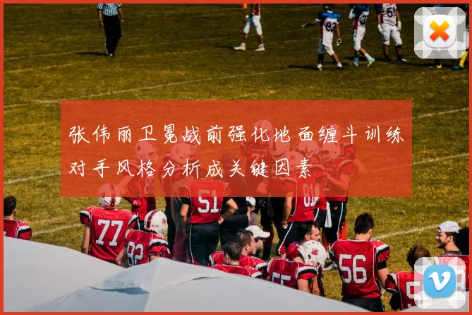 张伟丽卫冕战前强化地面缠斗训练对手风格分析成关键因素